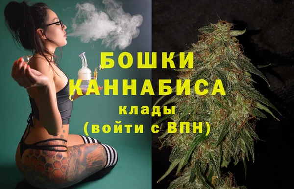 крисы Белокуриха