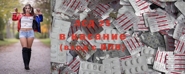 apvp Тайга