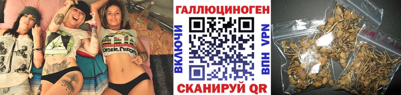 цена   Закаменск  Псилоцибиновые грибы прущие грибы 